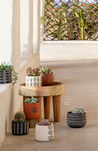Load image into Gallery viewer, New Mexico Planter | Terracotta
