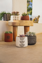 Load image into Gallery viewer, New Mexico Planter | Terracotta
